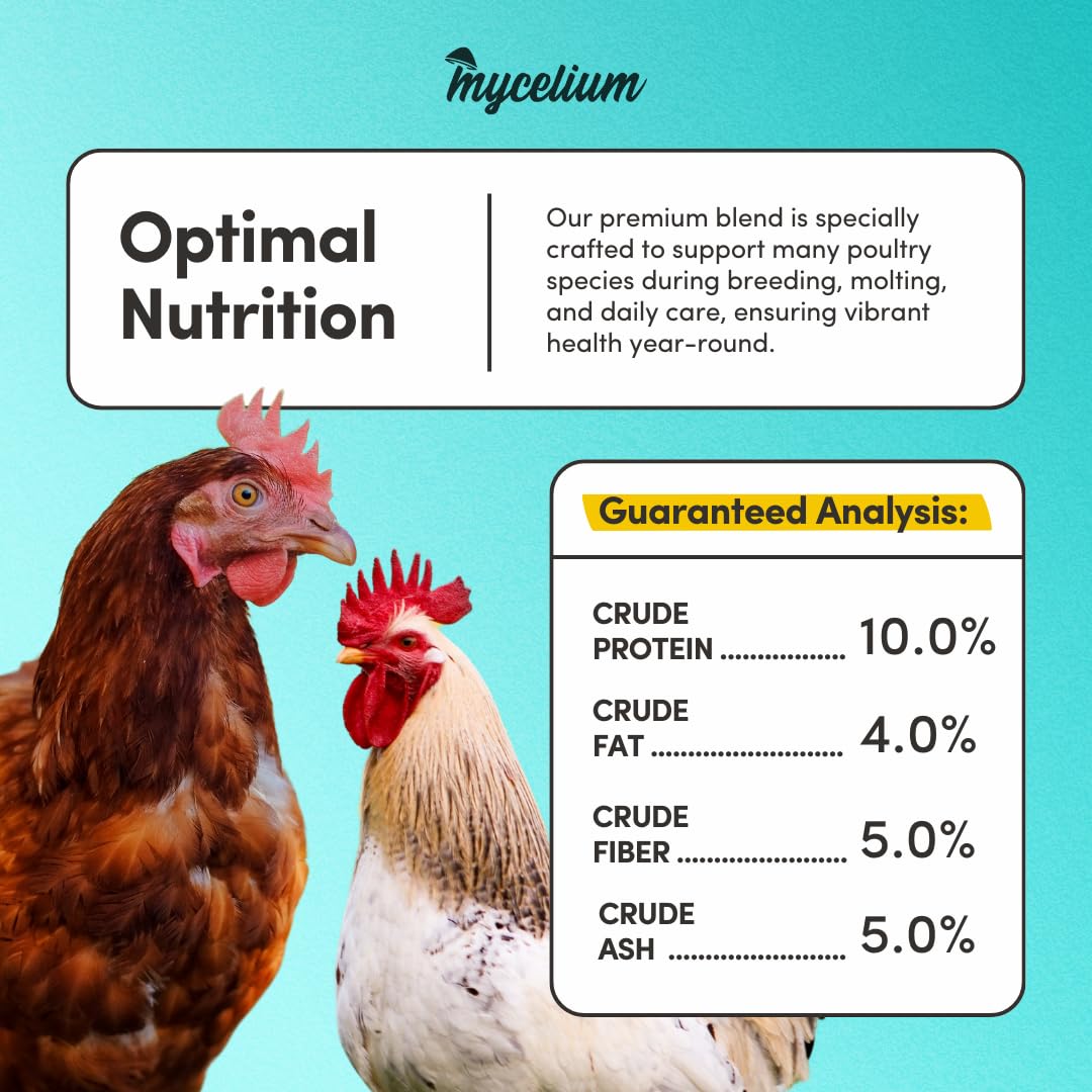 Mycelium Poultry Plus | Premium Chicken, Duck & Turkey Food with Oats, Corn, Wheat, Milo, Safflower & Peas | Supports Egg Production & Feather Health | Made in USA | 5 lb Bag