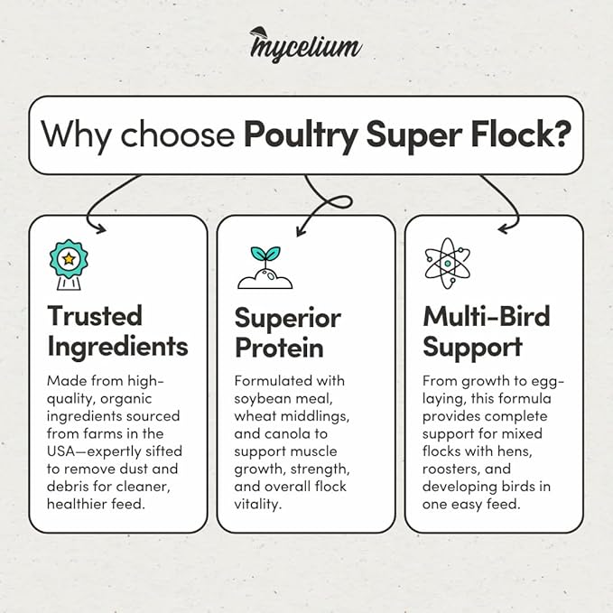 Mycelium Poultry Super Flock Feed (5 LB Bag) | High-Protein Poultry Feed with Probiotics & Vitamins | Supports Growth, Feather Health & Gut Function | Non-GMO, Made in USA