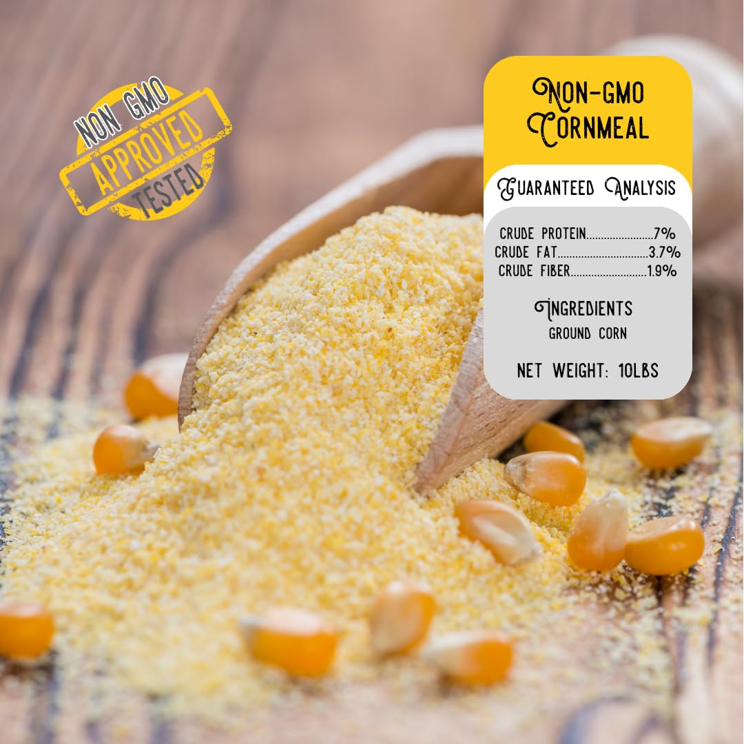 Ernst Grain & Livestock Non‑GMO Fine‑Ground Cornmeal – Premium Feed‑Grade 10 lb (160 oz) Portable Bag – All‑Natural, Unprocessed Grain Meal for Poultry, Livestock & Small Animals