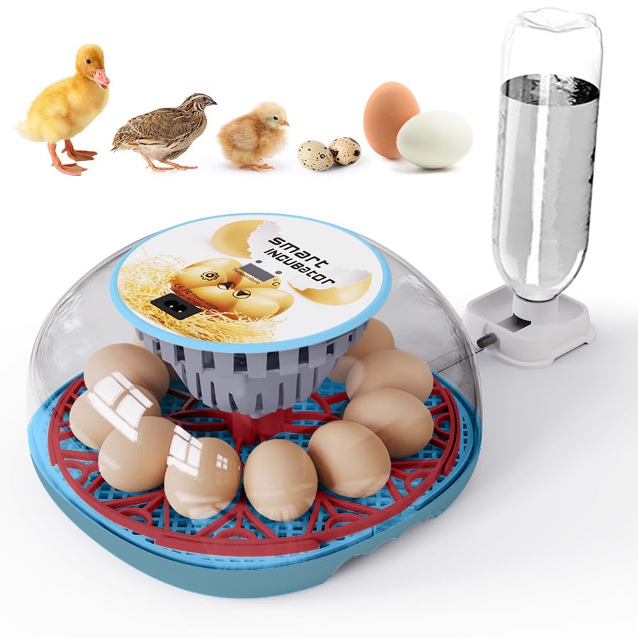 12 Automatic Egg Incubators for Hatching Eggs Whith Smart Temperature Control, Auto Turner, LED Candling for Chicken, Duck, Quail Eggs (12-Blue)