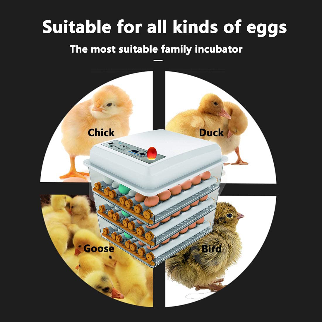 JAEDO 170 Egg Incubator Poultry Hatcher with Fully Automatic Egg Turning and Temperature Humidity Control for Chickens Ducks Goose Birds, Built-in Egg Candler (176)