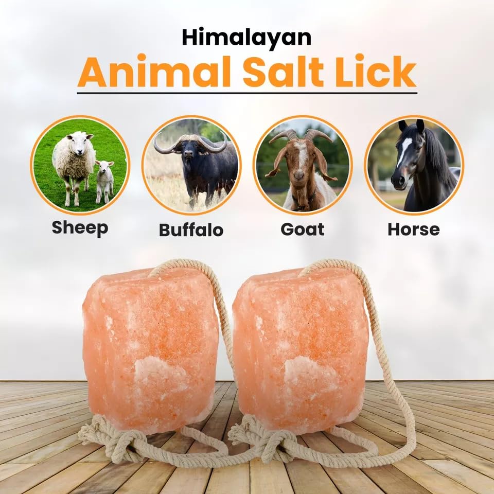 4 Premium Himalayan Horse Salt Lick 5–6 lbs Each Treat Block | Equine Mineral Salt Block with 36″ Rope | Horse Treats for Horses, Deer, Goats & Livestock