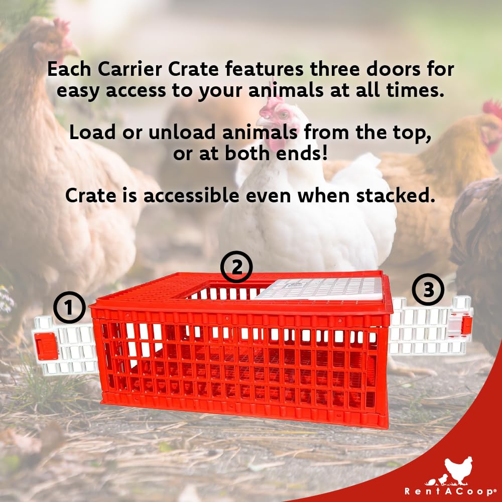RentACoop Stackable Poultry Carrier Crate (Pack of 4) 29" L x 22" W x 12" H for Chickens