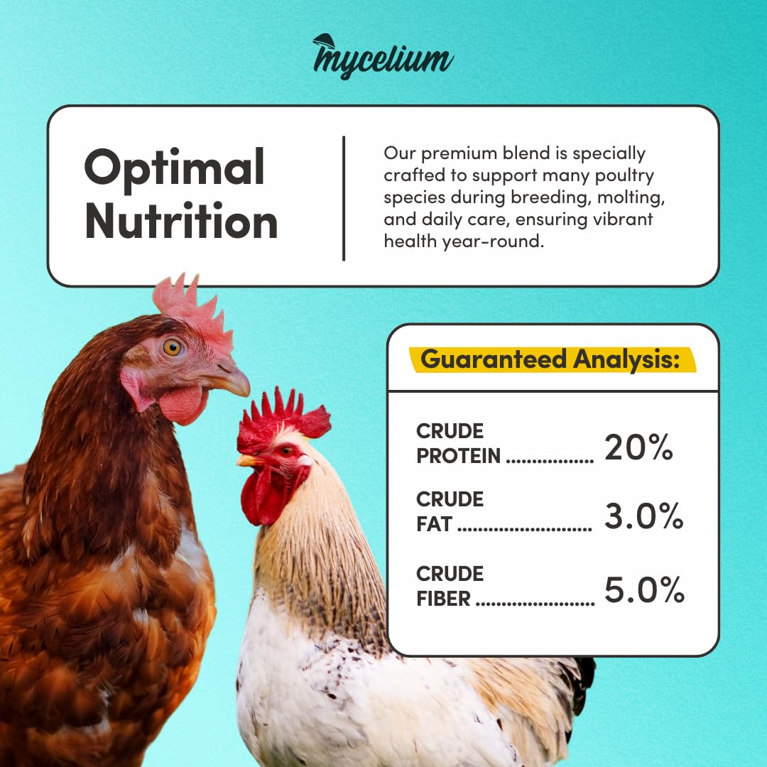 Mycelium Poultry Super Flock Food | High Protein Bird Food with Vitamins & Corn for Chicken, Turkey, Duck & Geese | Supports Growth, Egg Production, Feather & Immune Health | 5 lb Bag