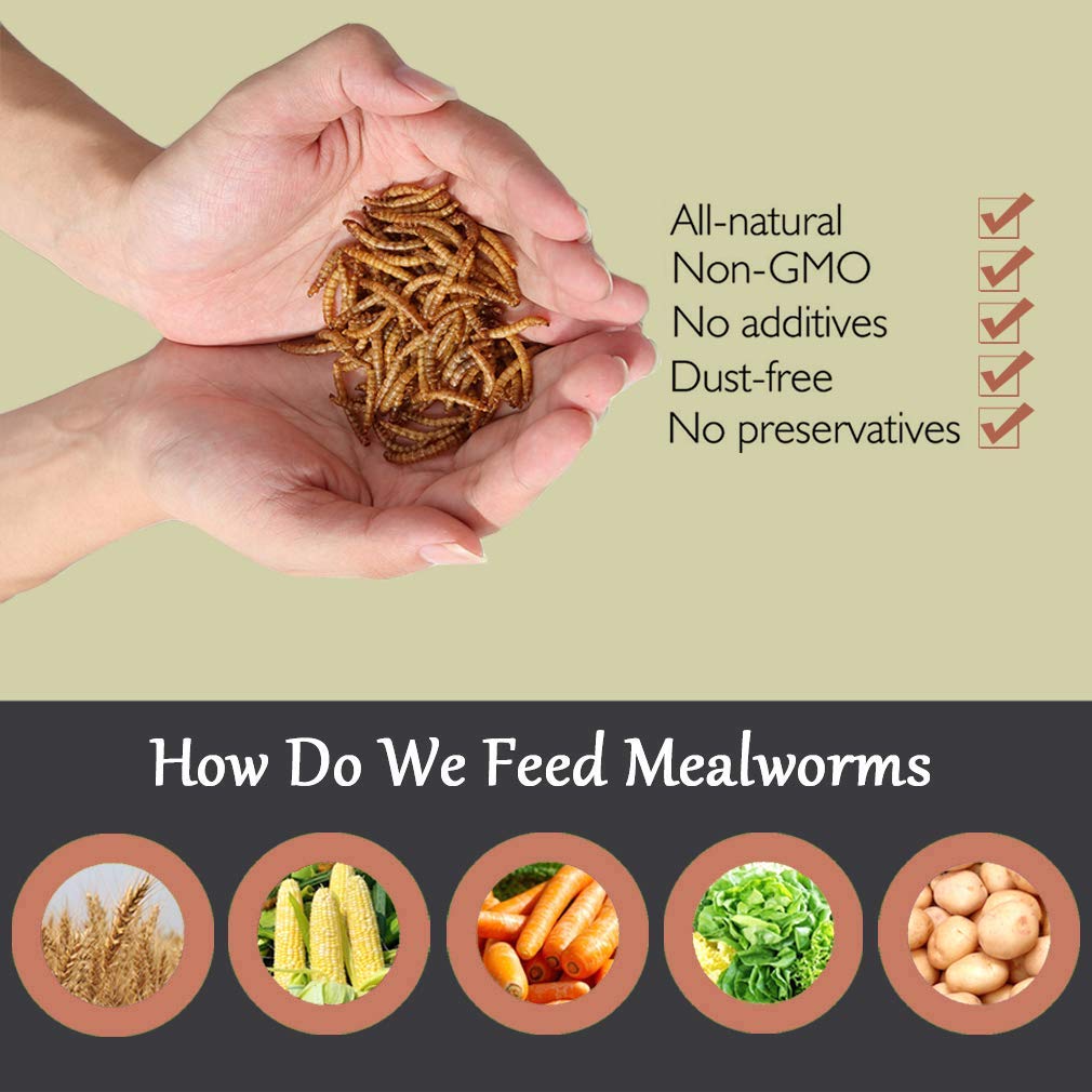WAMSOFT Non-GMO Dried Mealworms,2LB 100% Natural Large Size No Moisture,Treats for Birds Chickens Hedgehog Hamster Fish Reptile Turtles