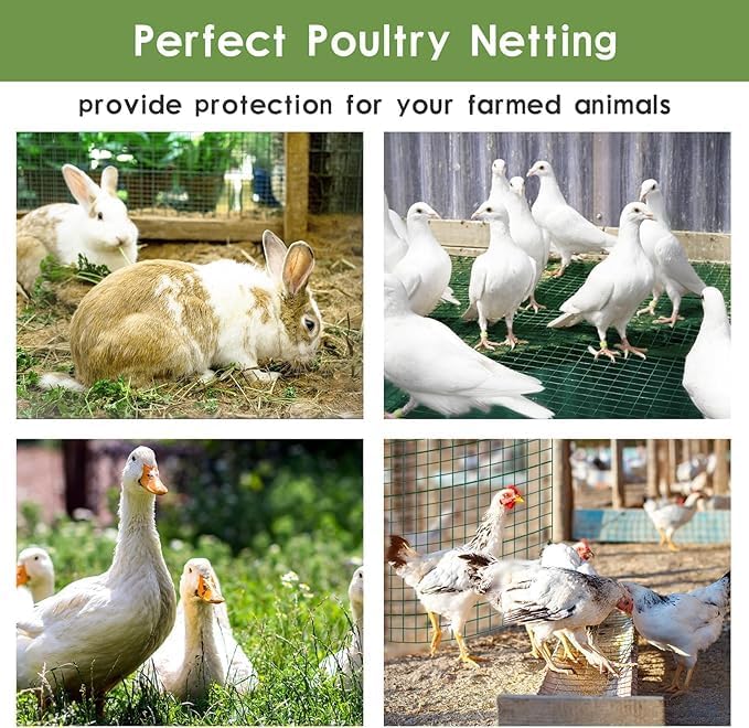 Tongmo 48" x 50' Green Chicken Wire Fencing, 19 Gauge Green Wire Fence, 1"x1" Mesh Size Metal Welded Wire Garden Fence Roll, Poultry Netting for Rabbit/Duck/Chicken