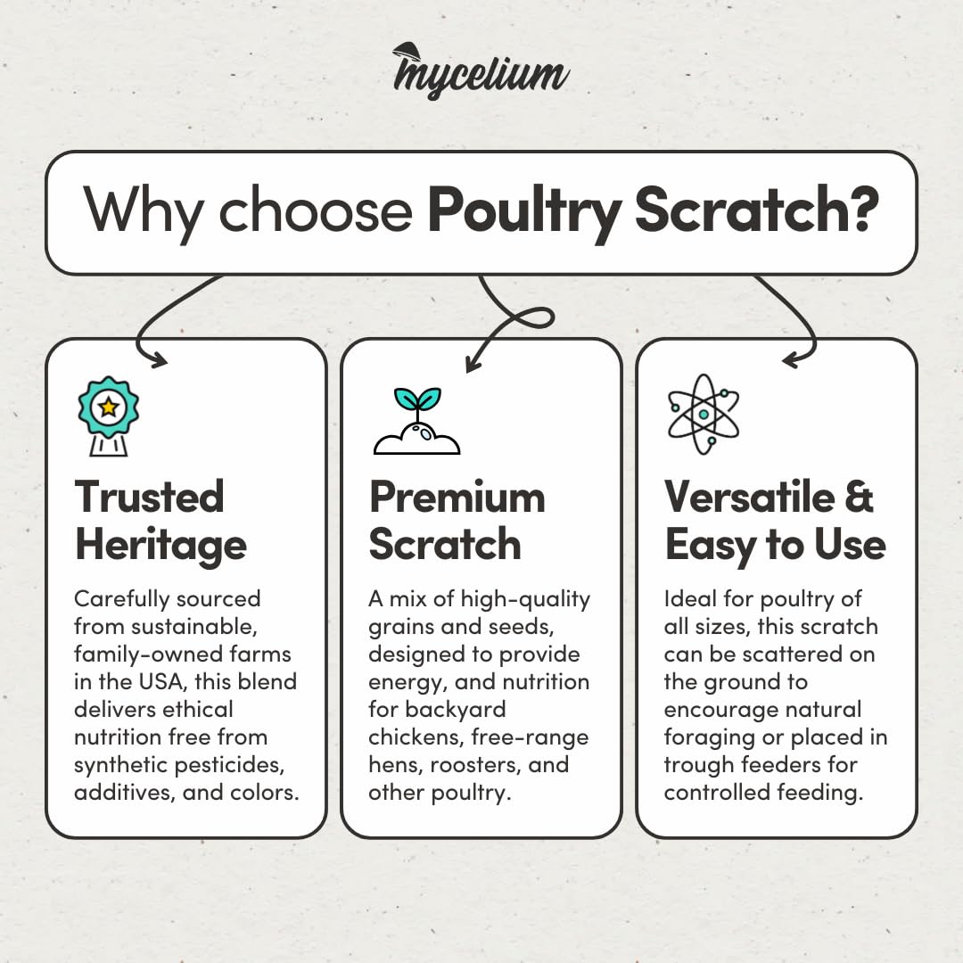 Mycelium Premium Poultry Scratch | Bird Food for Chickens, Quails & Game Birds | Organic, Non-GMO Seed Treat with Corn, Wheat & Milo | Supports Natural Foraging & Digestion | Made in USA, 5 lb Bag