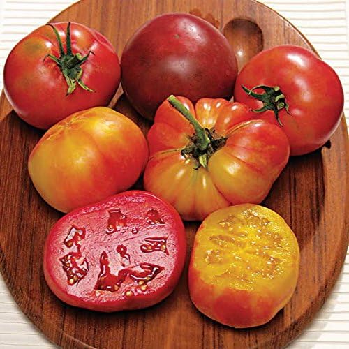 Park Seed Variety of Tomato Seeds, Planting Vegetables, Easy to Grow, Non-GMO, Perfect for Harvesting, Rainbow Blend Heirloom, Pack of 30