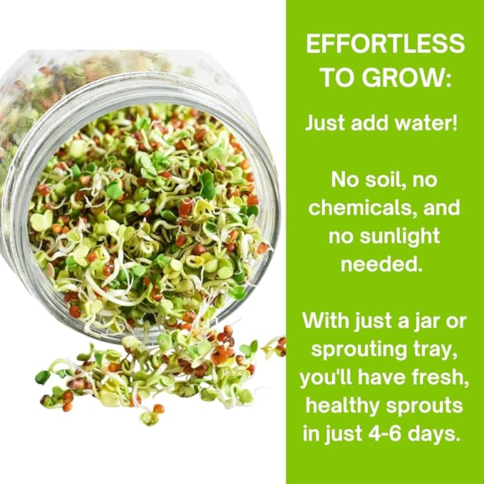 ZestiGreens Sprouting Seed Sampler – 5 Top Varieties (2 Packs Each, 11 g) | Broccoli, Alfalfa, Mung Bean, Clover & Daikon Radish | High-Germination, Perfect for Jars & Trays