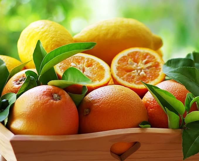600+ Mix Fruit Seeds, 6 Variety Non-GMO Heirloom and Organic, Strawberry Seeds Raspberry Seeds Mulberry Seeds Apple Seeds Orange Seeds Blueberry Seeds for Planting Home Garden