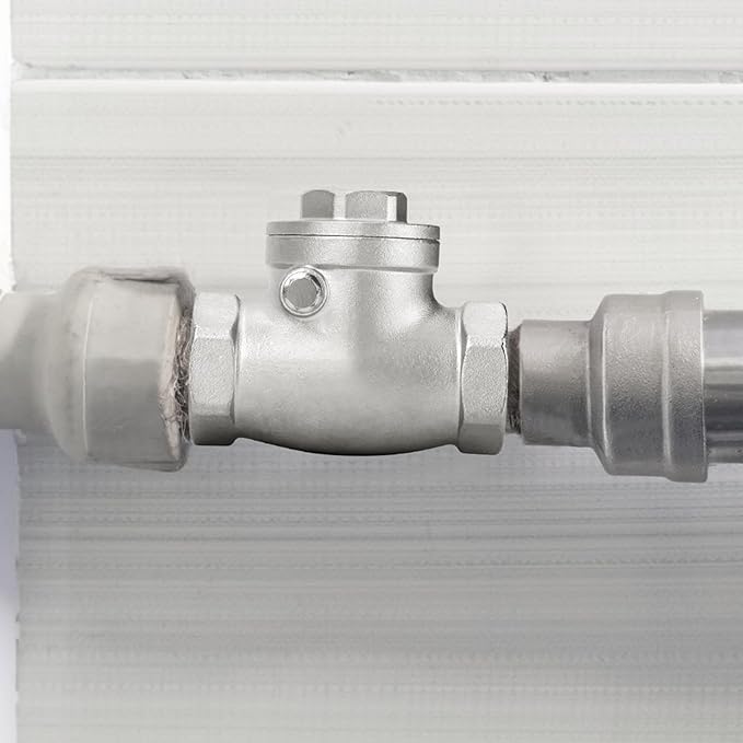 TAISHER 1PCS 304 Stainless Steel 3/4" Female Swing Check Valve，Backflow Prevention, One Way Check Valve CF8 WOG 1000