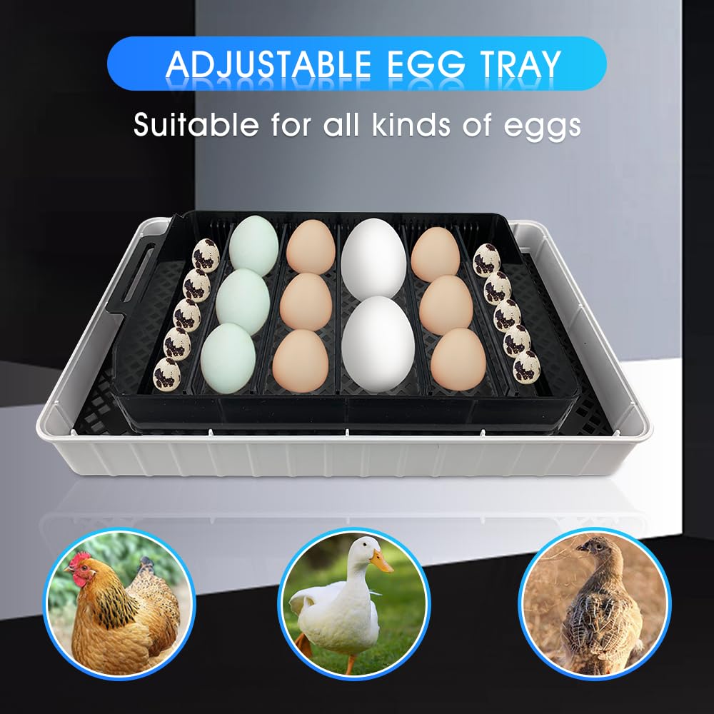 12 Automatic Egg Incubators for Hatching Eggs Whith Smart Temperature Control, Auto Turner, LED Candling for Chicken, Duck, Quail Eggs (12-Black)