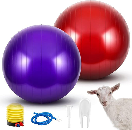 Sotiff 2 Pcs Herding Goat Ball Large PVC Exercise Training Ball with Inflator Pump for Dogs, Goats, Horses Outdoor Entertainment