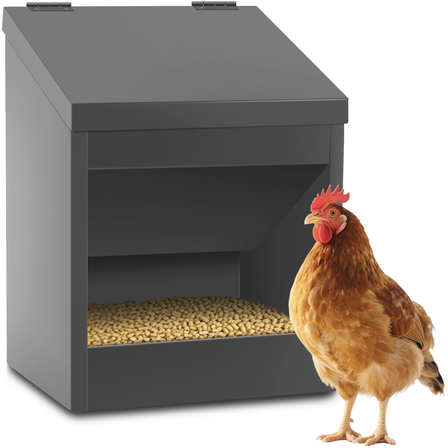 Gavinjitao Metal Chicken Feeder,Automatic Chicken Grit and Oyster Shell Feeder Hanging or Ground Food Dispenser with Lid Coop Accessories Outside Suitable for Chickens Ducks Quails