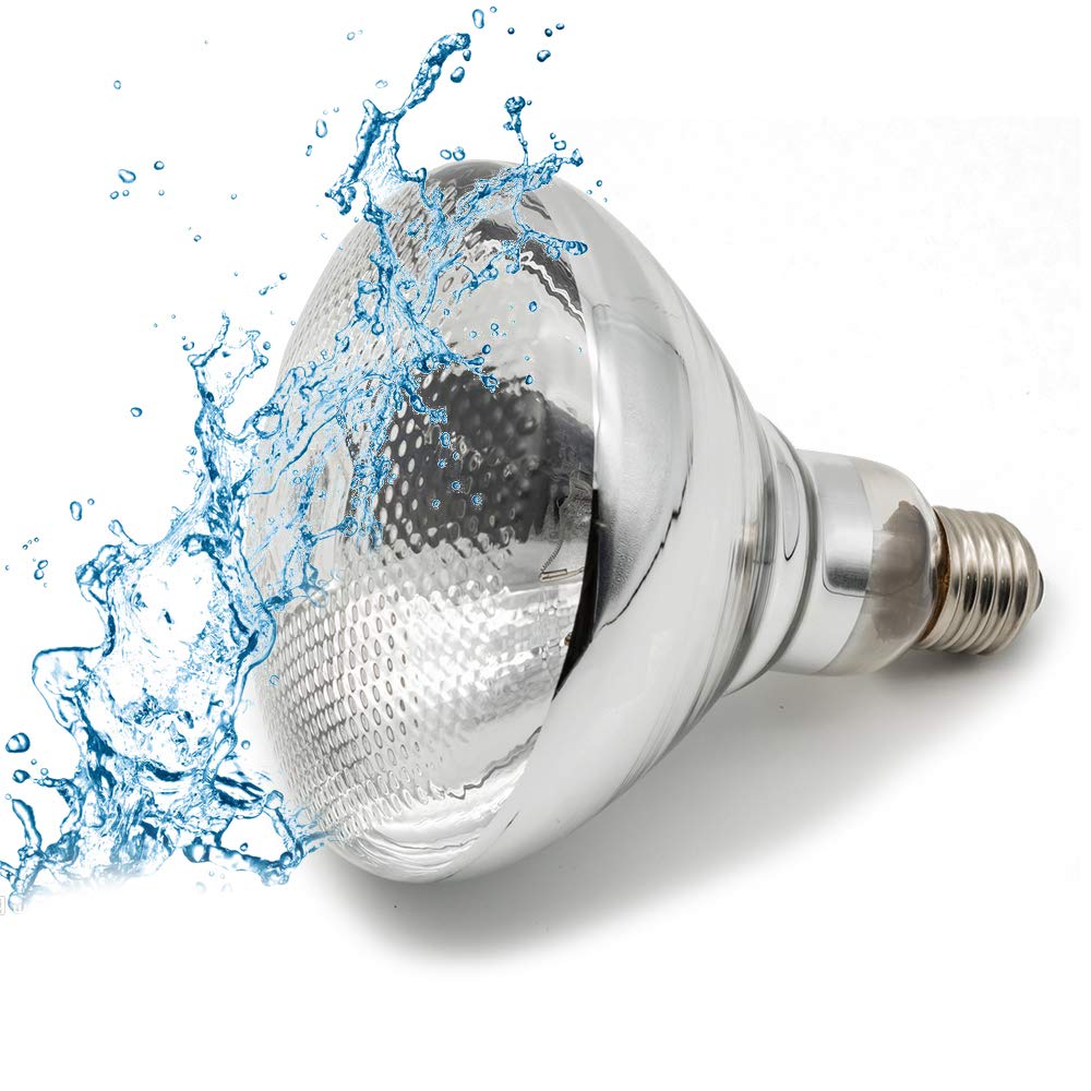 Fengrun Infrared Heating Lamp Clear Hard Explosion-Proof Glass UV Coating for Animal, Bathroom Warming Light Bulb (150w,120v)