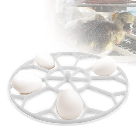 Queencar 10 Egg Capacity Jumbo Goose Heavy Breeds Tray Compatible with Nurture Right 360 Incubator Turner, White JGT360