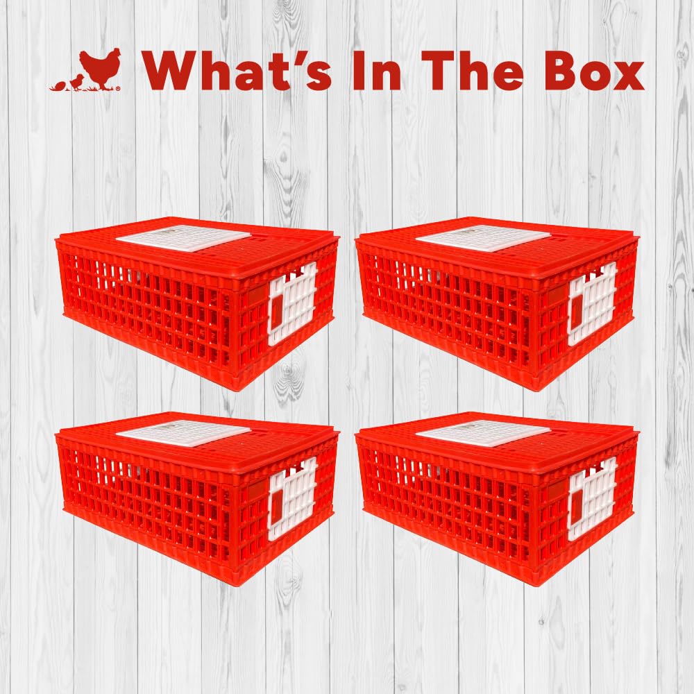RentACoop Stackable Poultry Carrier Crate (Pack of 4) 29" L x 22" W x 12" H for Chickens