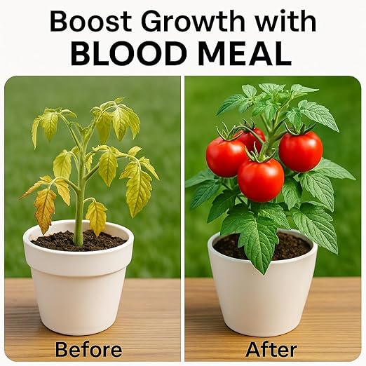 𝐁𝐄𝐒𝐓𝐒𝐄𝐋𝐋𝐄𝐑 Organic Blood Meal Fertilizer by Gardenera - 12-0-0 NPK - All-Natural Plant Food Source of Nitrogen for Organic Gardening, Flowers, Vegetables, Trees & Shrubs - 20 QUARTS