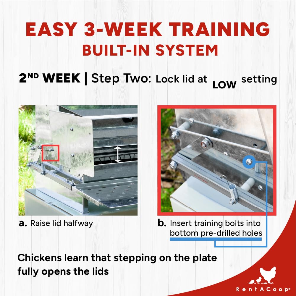 RentACoop Automatic Metal Treadle Feeder - Outdoor Use, Rainproof - Suitable for Chicken, Bantams, Poultry, Pheasants, etc. - 25lb Capacity