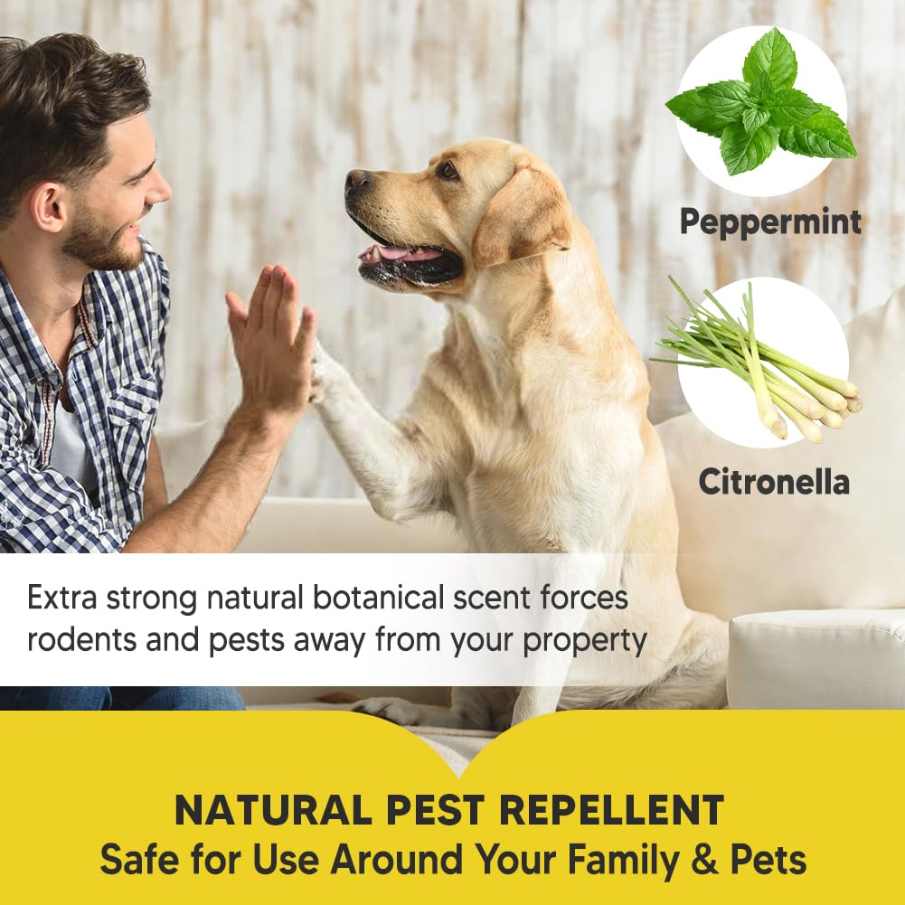 SCFKAOF Pest Control, Mouse Repellent Indoor, Rodent Repellent Outdoor, Spider Repellent Indoor, Rat Repellent, Mice Repellent Indoor, Repel Ants, Roaches, Spiders, Moths & Other Pests-8P