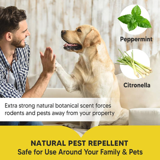 SCFKAOF Pest Control, Mouse Repellent Indoor, Rodent Repellent Outdoor, Spider Repellent Indoor, Rat Repellent, Mice Repellent Indoor, Repel Ants, Roaches, Spiders, Moths & Other Pests-8P