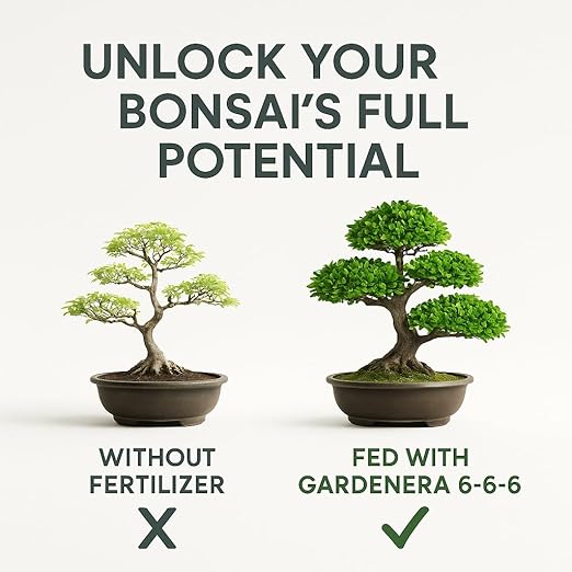 𝐁𝐄𝐒𝐓𝐒𝐄𝐋𝐋𝐄𝐑 Bonsai Fertilizer Pellets – Slow-Release Bonsai Tree Fertilizer & Food for Compact Growth, Dense Branching & Healthy Roots | Ideal for All Bonsai & Money Trees - 3 QUARTS