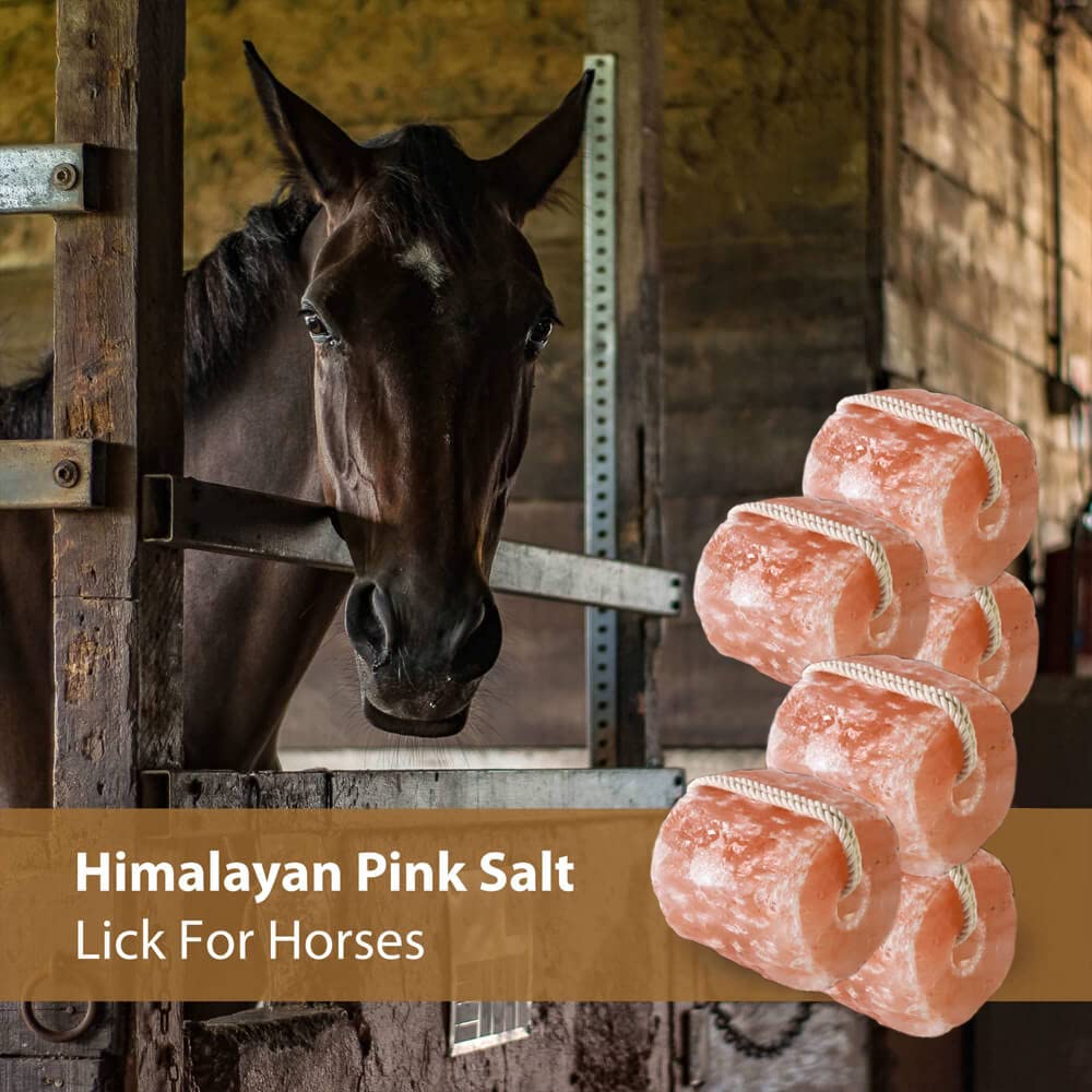 Himalaid Himalayan Pink Salt Lick (6 LBS Pack of 6) - 100% Pure & Natural Feed Salt Block | Natural Minerals and Trace Elements, for Livestock and Wildlife Animals