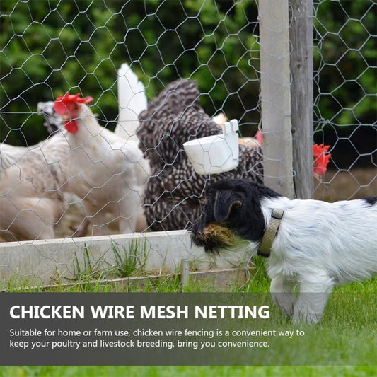 CHILDWEET 2pcs Hexagonal Chicken Wire Netting Metal Mesh for Garden Fencing Poultry Safety and Craft Projects Versatile Wire Frame