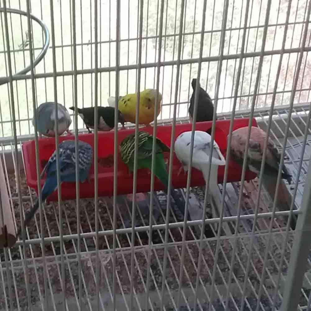 MACGOAL Flip Top Poultry Feeder Trough Small Chick Feeder Plastic Chicken Feeder No Waste Spill Proof for Birds Small Poultry (Red)