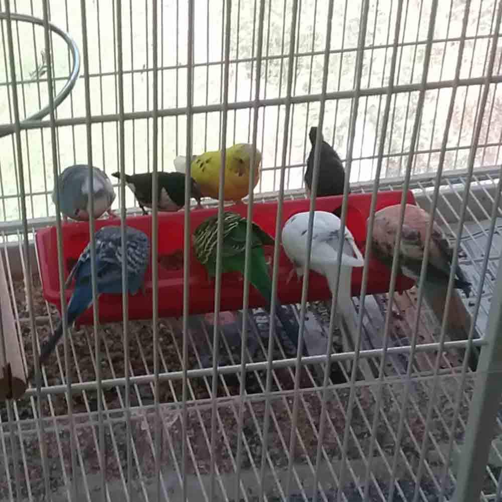 MACGOAL Flip Top Poultry Feeder Trough Small Chick Feeder Plastic Chicken Feeder No Waste Spill Proof for Birds Small Poultry (Red)
