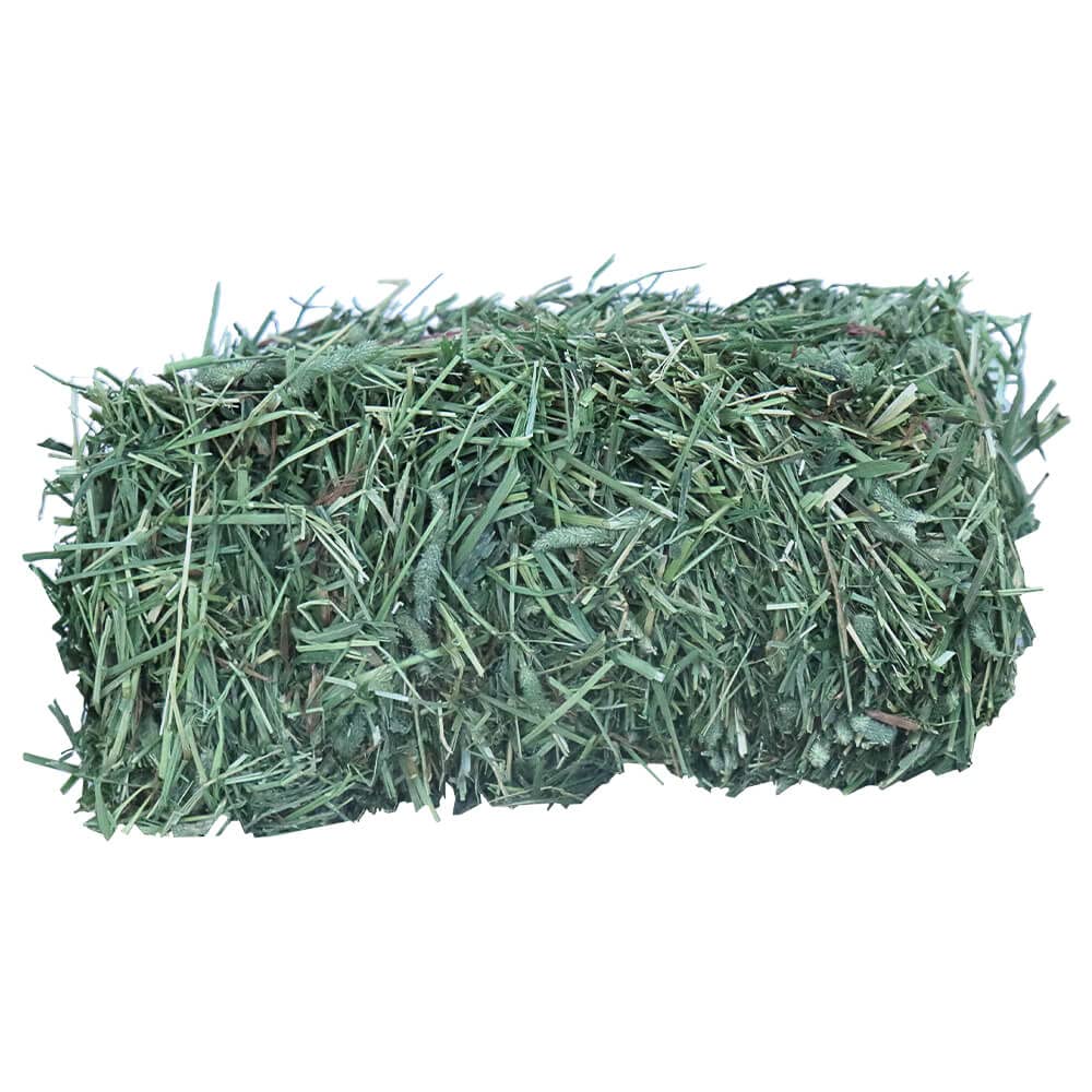 Grandpa's Best Timothy Hay Mini Bale, 10 Lbs (Packaging may vary),Brown