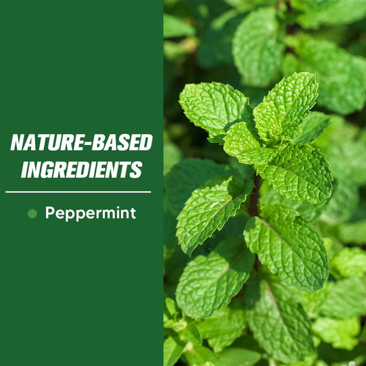 LAQDECDV Pest Control, Mice Repellent Indoor, Mouse Repellant Pouches, Rodent Repellent, Peppermint to Repel Ant, Roach & Spider, Rat Deterrent for House, Keep Mice Away, Safe and Easy to Use-7P