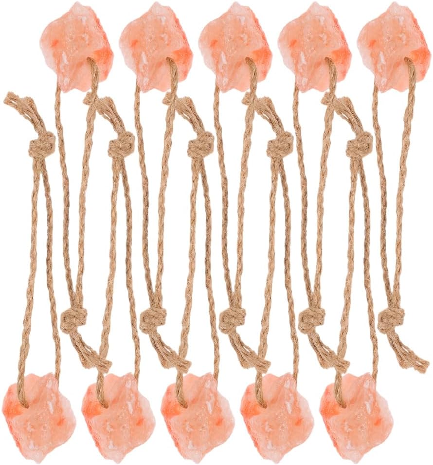 CIYODO 10pcs Deer Food Salt Block Mineral Chew Salt Lick with Ropes for Wildlife Feeding Hunting Habitat Support Outdoor Supplies