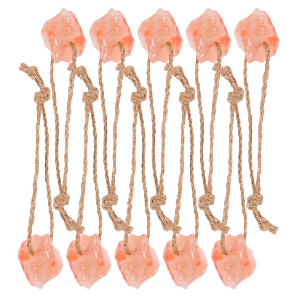 CIYODO 10pcs Deer Food Salt Block Mineral Chew Salt Lick with Ropes for Wildlife Feeding Hunting Habitat Support Outdoor Supplies