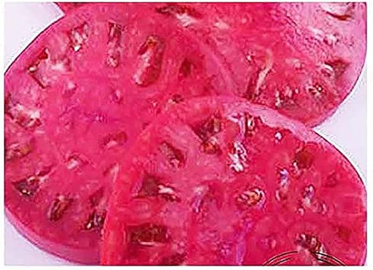 Watermelon Beefsteak Tomato Seeds - Large Tomatos - Delicious Tomatos for Home Growing