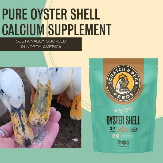 Scratch and Peck Oyster Shell Supplement - 4 lb Bag - Natural Calcium Boost for Healthy Eggshells in Chickens and Ducks, Sustainably Sourced Pure Flaked Oyster Shell
