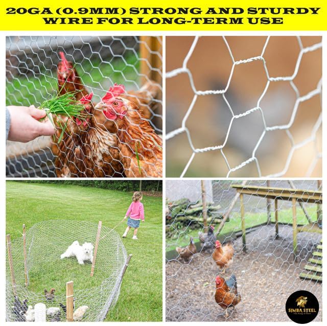 Chicken Wire 12 in x 50 FT x 2” Mesh x 20GA | Poultry Wire Netting | Hot Dipped Galvanised | Hexagonal Galvanized Mesh for Chicken Coop, Rabbit Cage, Fence Barrier PM12x50x2