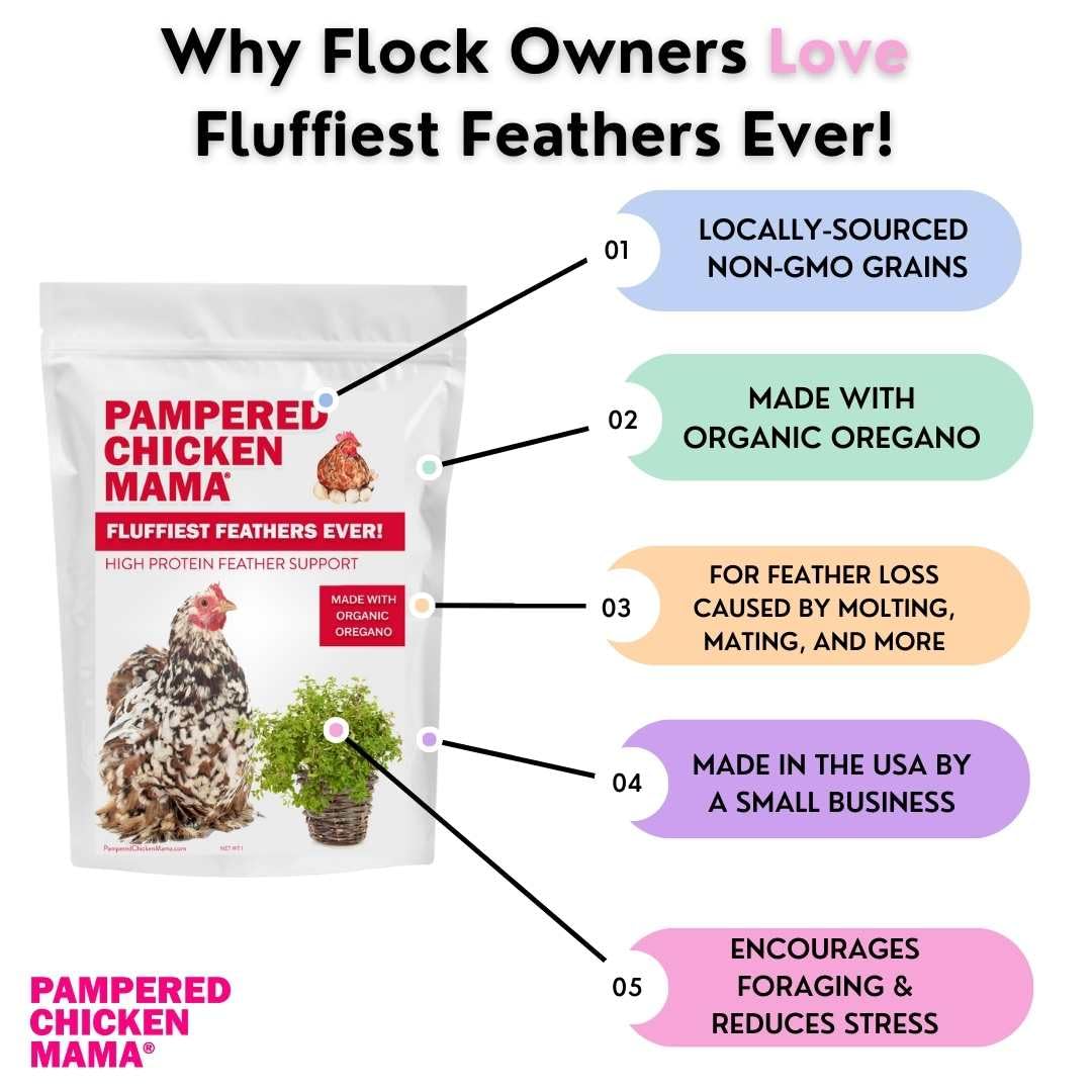 Pampered Chicken Mama Molting Supplement for Chickens: Fluffiest Feathers Ever Backyard Chicken Feed and Supplies for Hens (2 pounds)