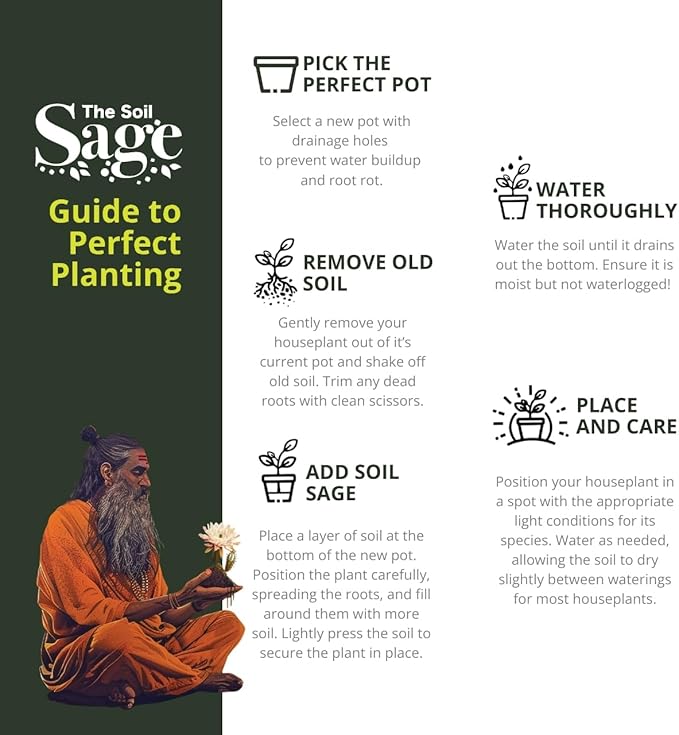 Soil Sage 5 qt Premium Houseplant Soil - U.S.A. Made Well-Draining Nutrient-Rich Potting Mix for Indoor Plants - Coconut Coir, Composted Bark, Pumice & Mycorrhizae for Strong Roots & Growth