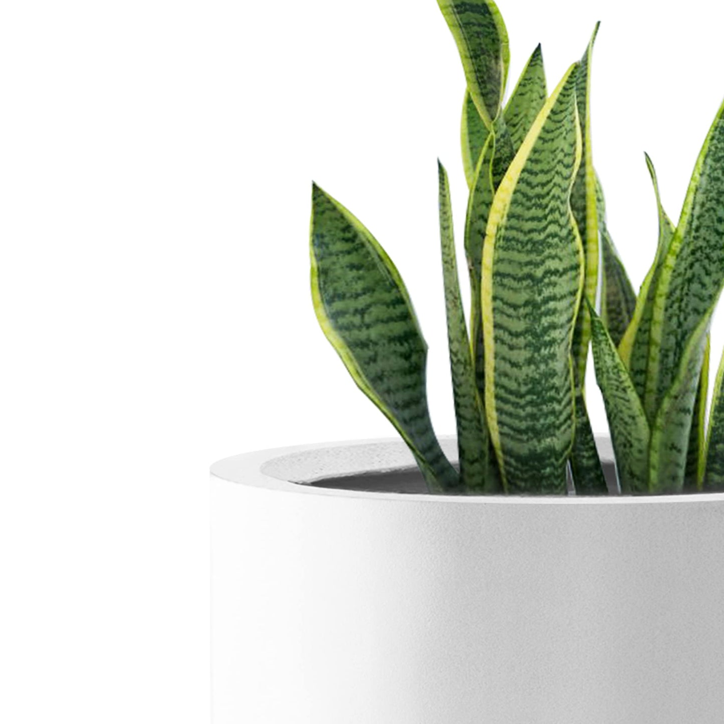 Kante RC0119ABC-C80011 Set of 3 Lightweight Concrete Modern Cylinder Outdoor Planters, 15.8, 12.9 and 9.8 Inch Diameter, Pure White