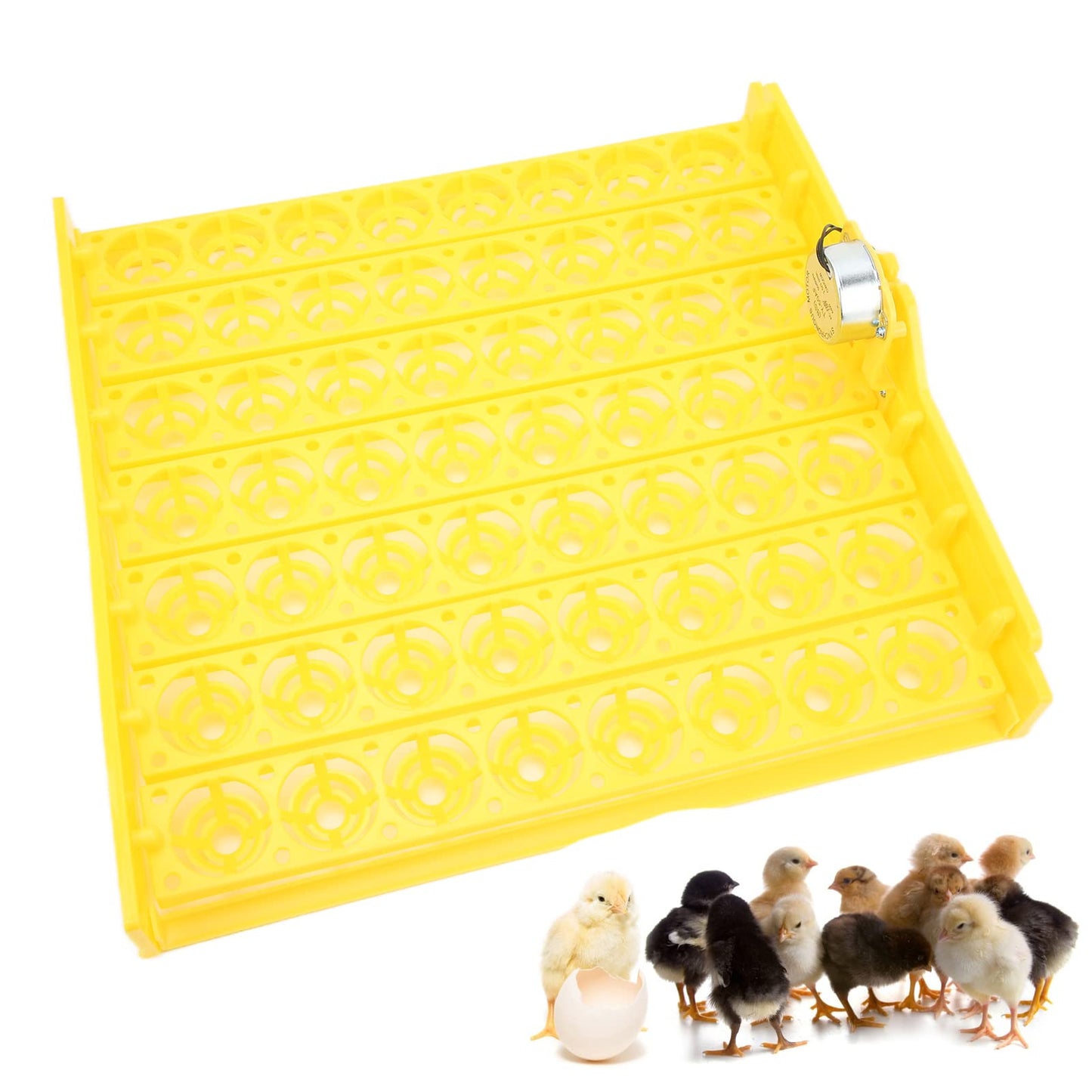 Automatic Egg Turner, 110V Swing Around 45 Degrees to Turn the Egg Tray Egg Hatching Tray 56 Eggs Fully Automatic Incubator(110V)