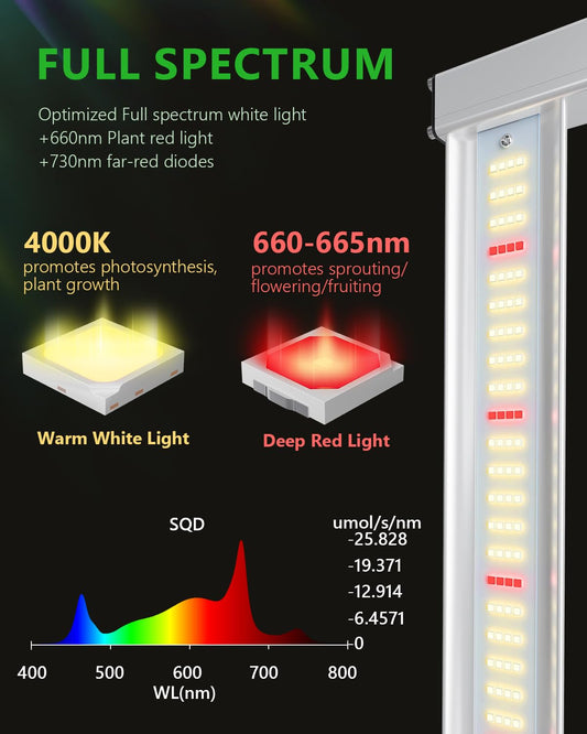 BAYLABS 1000W Full Spectrum LED Grow Light, UV/IR Enhanced Foldable and Dimmable 8 Bar Lamp for 5x5 ft Core Coverage, 2.89 μmol/J Efficiency Ideal for Commercial Hydroponics