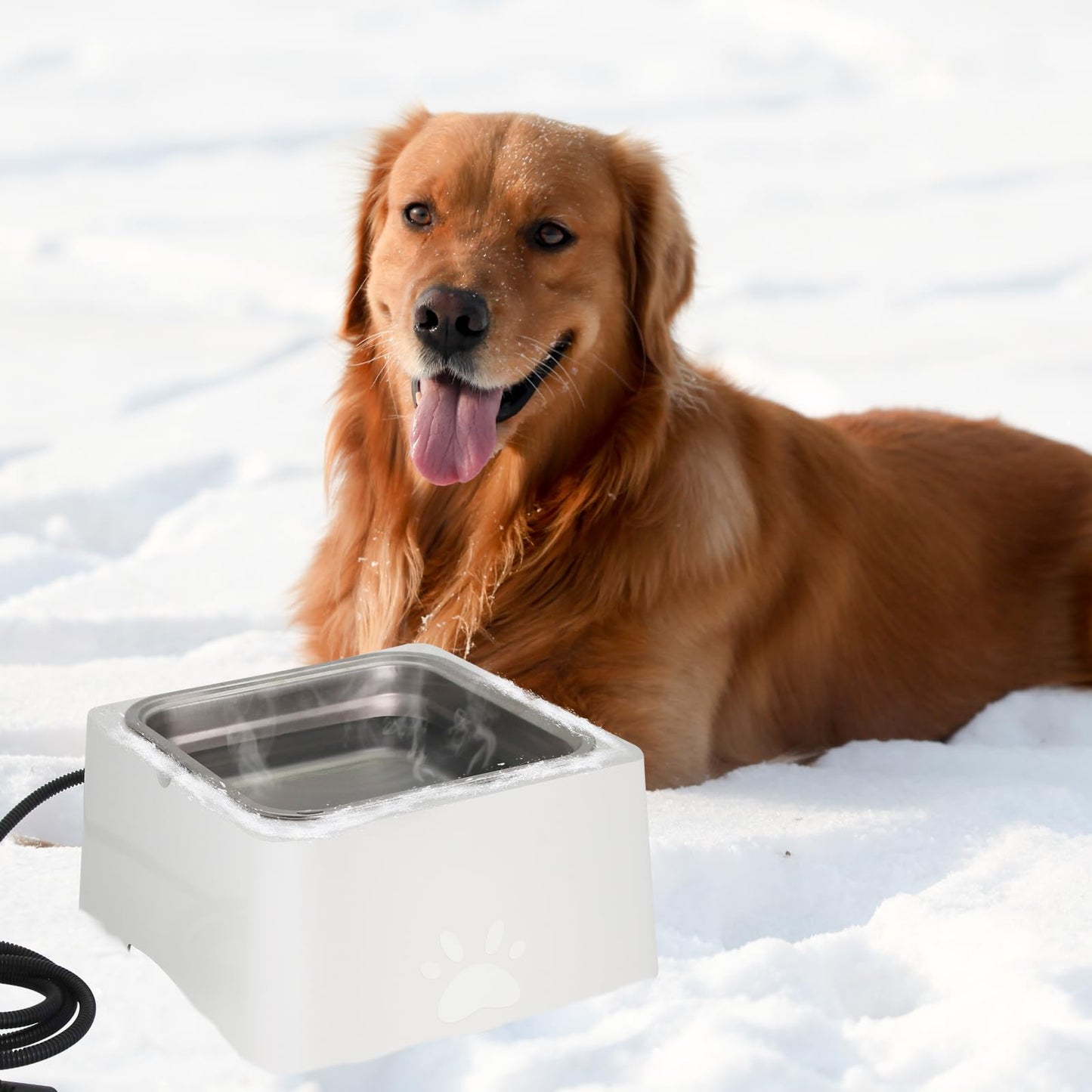 Large Heated Dog Bowl for Outdoor,Winter Waterer Bowl Removable Stainless Automatic Dog Water Bowl,1 Gallon Large Capacity Outside Animal Heated Waterer Bowl for Dog,Cat Rabbit,Chicken,Duck (White)