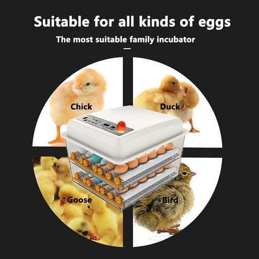 JAEDO 96~128 Egg Incubator Digital Automatic Hatcher with Egg Turning for Chickens Ducks Goose Birds …