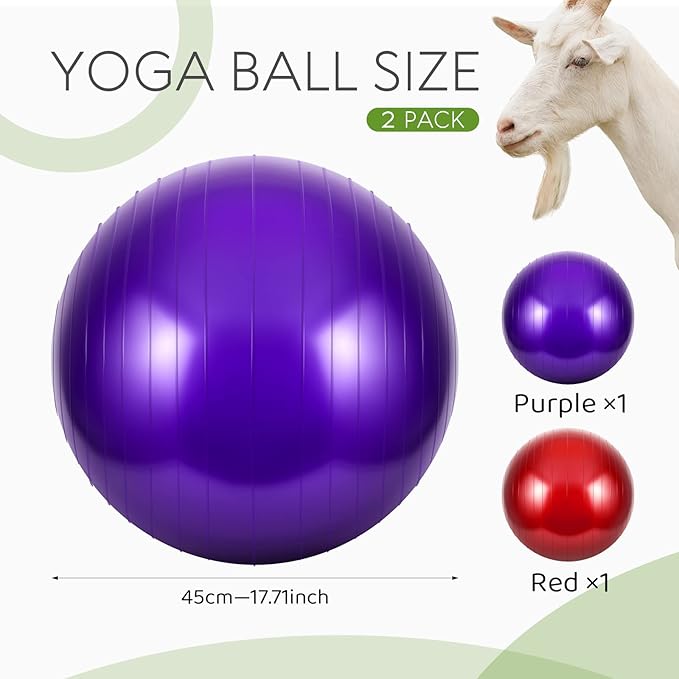 Sotiff 2 Pcs Herding Goat Ball Large PVC Exercise Training Ball with Inflator Pump for Dogs, Goats, Horses Outdoor Entertainment
