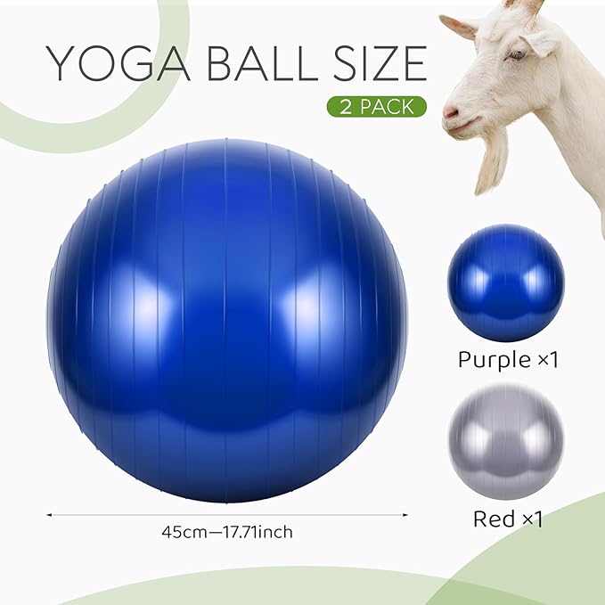 Sotiff 2 Pcs Herding Goat Ball Large PVC Exercise Training Ball with Inflator Pump for Dogs, Goats, Horses Outdoor Entertainment