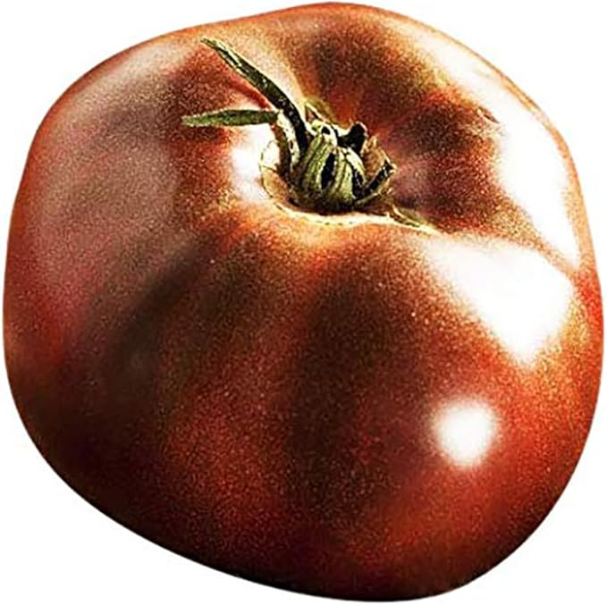 Black Brandywine Heirloom Tomato Seeds - Large Tomato - One of The Most Delicious Tomatoes for Home Growing,