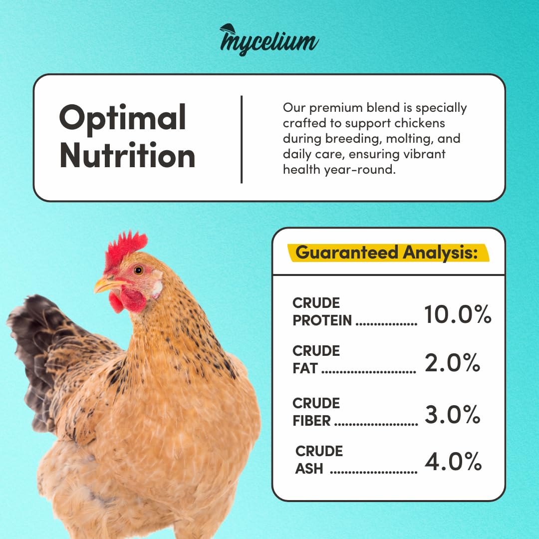 Mycelium Organic Chicken Scratch (5 lb Bag) | Non-GMO Chicken Feed | Natural Multigrain Blend for Poultry Bird | Supports Digestion & Energy | Dust Free Mix, Made in USA