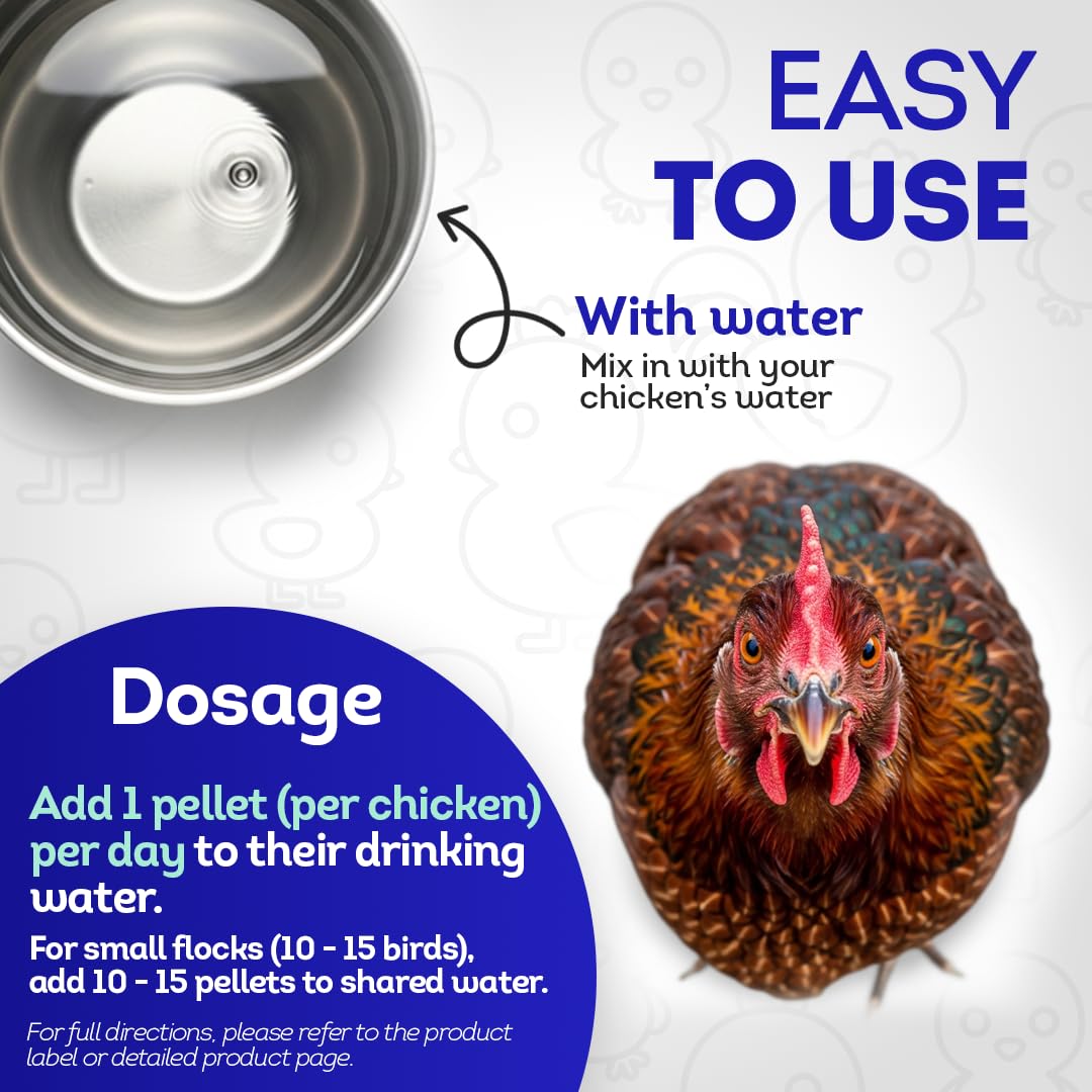 HA4E - Chicken Respiratory Support Supplement - Effective Breathing Aid for Chickens - Highly Effective Homeopathic Formula - 300 Tablets