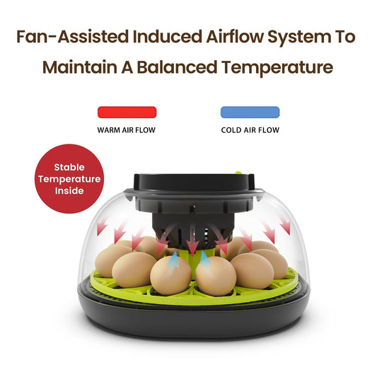 Incubators for Hatching Eggs 12 Egg Incubator with Automatic Egg Turning and Humidity Control,Egg Candler,Auto Water Replenishment,for Chicken Eggs and Quail Egg M12H